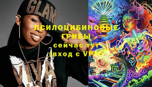 мет Алексин