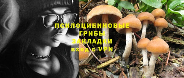 соль ск Алексеевка