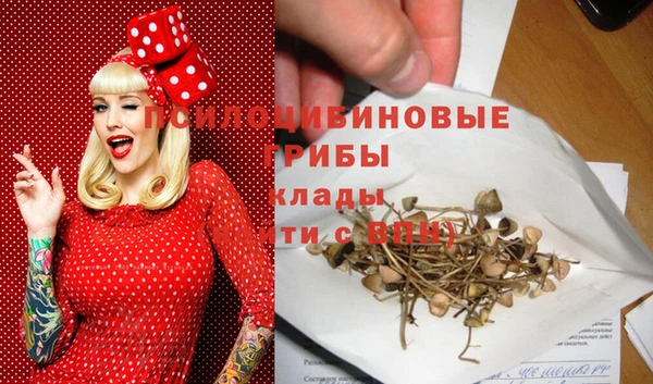 соль ск Алексеевка