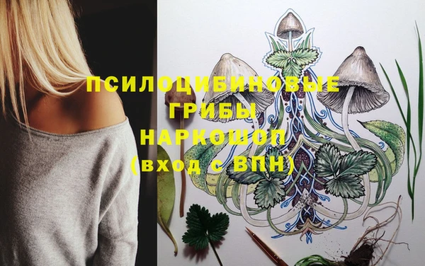 мет Алексин