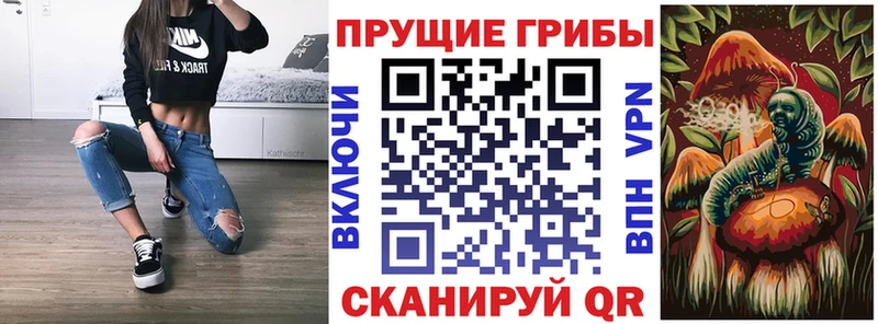Псилоцибиновые грибы GOLDEN TEACHER  darknet наркотические препараты  Кудрово 